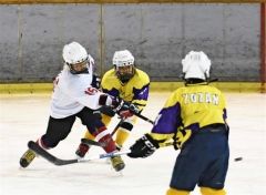 幕別浦幌全勝Ｖ　勝毎杯ちびっこアイスホッケー