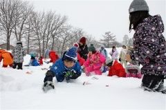 尾田おやじの会が雪遊びの会　東京の家族も　大樹 2