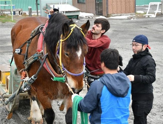 ばんえい競馬題材の映像作品　ロッテルダム映画祭でグランプリ