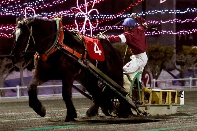 【写真】大逆転勝利カネサダイマオー、ばんえいイレネー記念