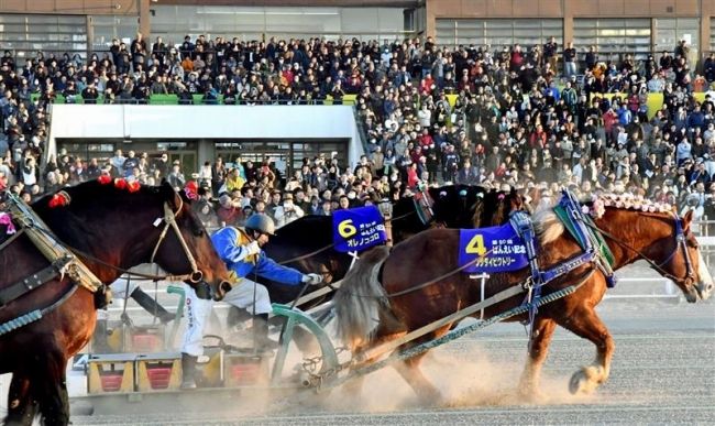 【写真】売り上げ最高額を更新 大盛況で開催 ばんえい記念
