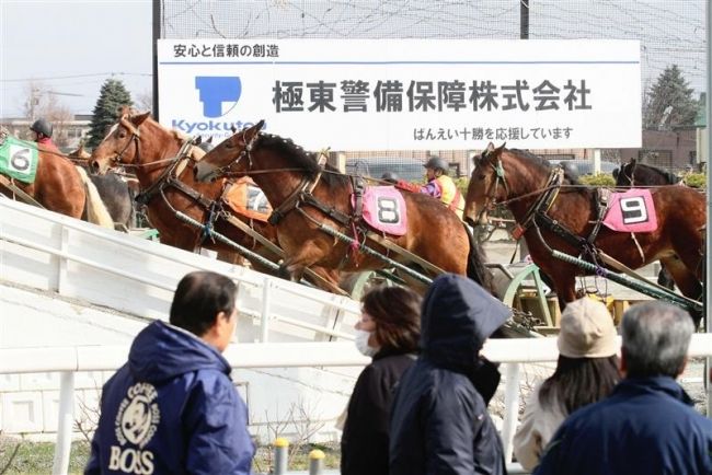 【写真】若馬193頭が挑戦 ばんえい第1回能力検査