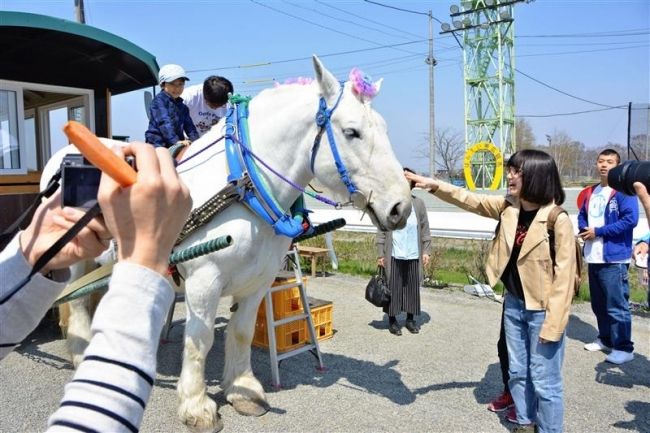 【写真】うまちか２日目もにぎわう