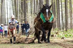 「開拓の技」に歓声　忠類