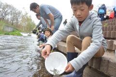 成長と戻りに期待　サケ１万４０００匹放流