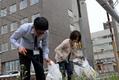 参加者は火ばさみで細かなごみも丁寧に拾い集めた