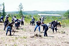 町民がカシワ６２５本植樹　大樹 4