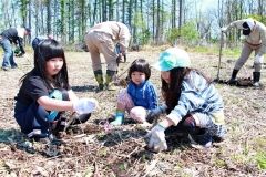 町民がカシワ６２５本植樹　大樹 5