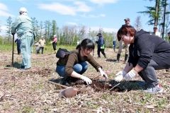 町民がカシワ６２５本植樹　大樹 6