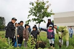 植樹に汗を流した参加者