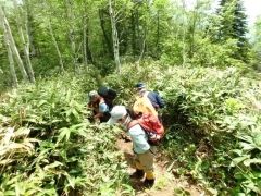 登山道を整備する関係者