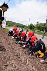 国道沿いの一角にヒマワリの種まく　陸別・石橋建設 3