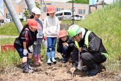 国道沿いの一角にヒマワリの種まく　陸別・石橋建設 4