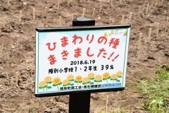 国道沿いの一角にヒマワリの種まく　陸別・石橋建設 5