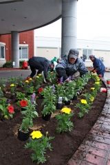 施設の花壇整備　大樹町老人クラブ連合会 2