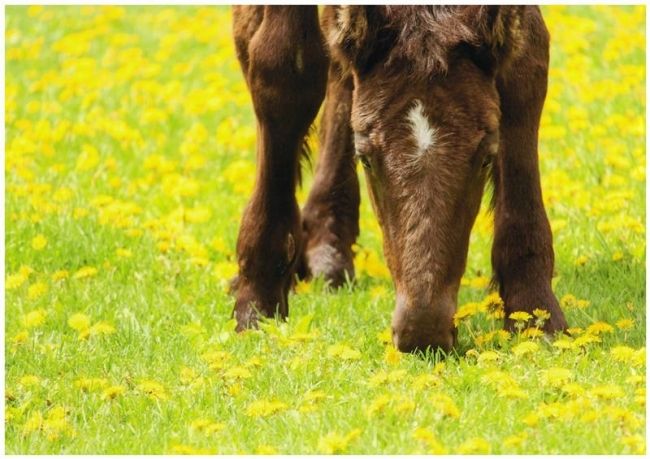 【写真】全十勝写真公募展　田島さんが５回目最優秀賞