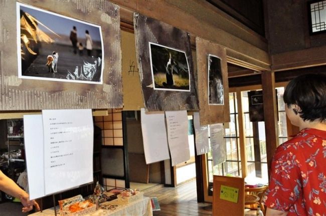 【写真】中川こうじさん　のらねこ写真展始まる　猫の現状訴える