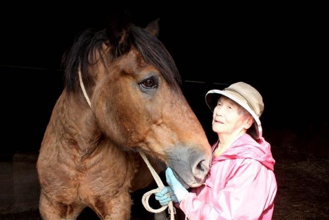 生花の高谷さん　３０歳の愛馬と暮らす　大樹