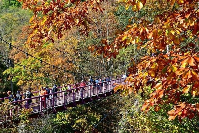 【写真】岩内仙峡で「もみじまつり」 紅葉と食を満喫
