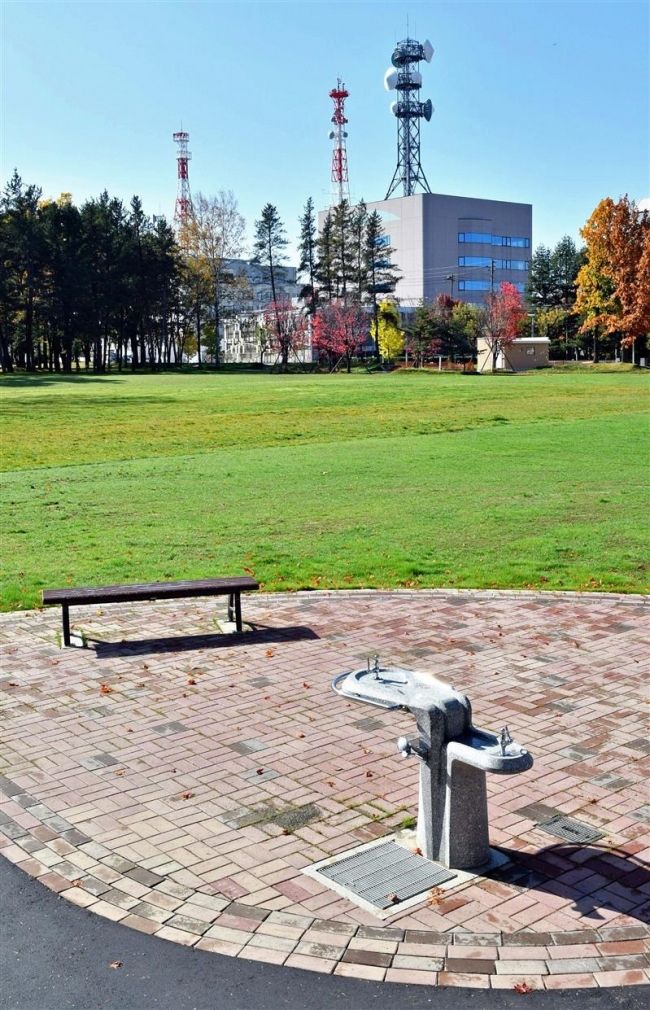 【写真】中央公園北側広場の整備完了 芝生広場に