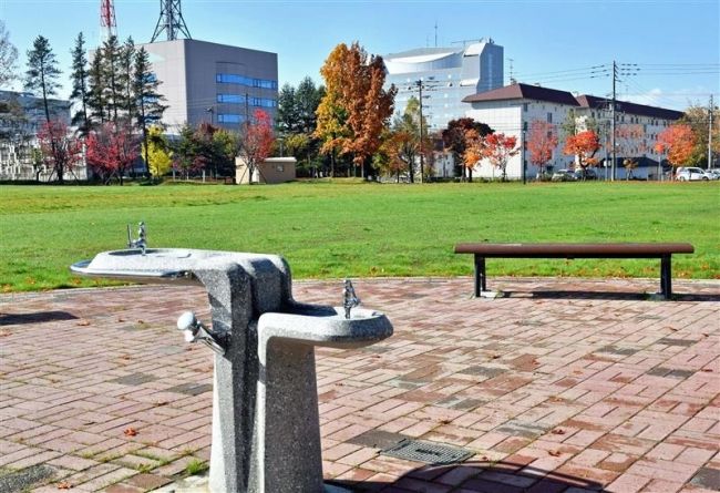 【写真】中央公園北側広場の整備完了 芝生広場に