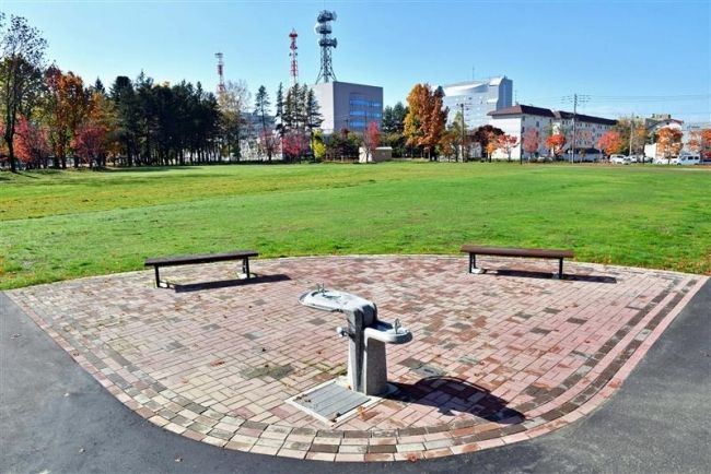 【写真】中央公園北側広場の整備完了　芝生広場に