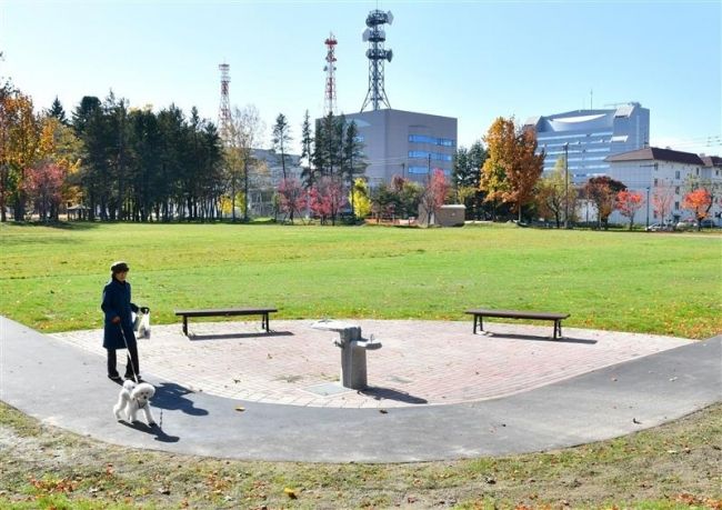 中央公園北側広場の整備完了　芝生広場に