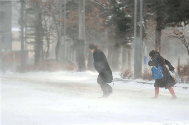 【写真】十勝に降雪 ぬかびら21センチ、帯広7センチ