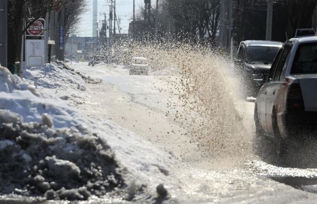 【写真】水たまりに春の気配 気温高く推移 きょう雨水