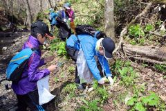 山菜を採取する子供たち