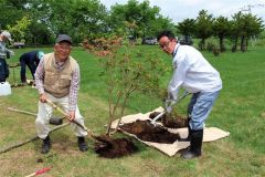 並んで植樹する藤田会長と喜井町長（左から）