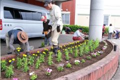 花苗を植える老人クラブ会員ら