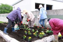 花苗を植える老人クラブ会員ら