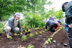 花苗を植える老人クラブ会員ら