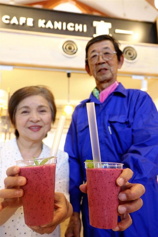 道の駅でハスカップスムージー販売　士幌