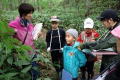 木々を観察する子どもたち