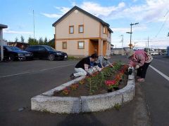 花の苗を植える住民ら