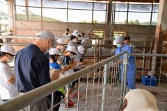 陸別で馬とのふれあい学習 4