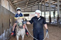 陸別で馬とのふれあい学習 5