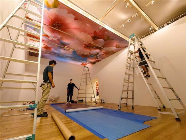 【写真】19日開幕へ展示作業本格化 道立帯広美術館で蜷川実花展