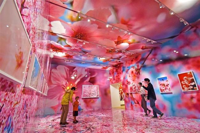 【写真】あふれる色 世界観に圧倒 蜷川実花展開幕