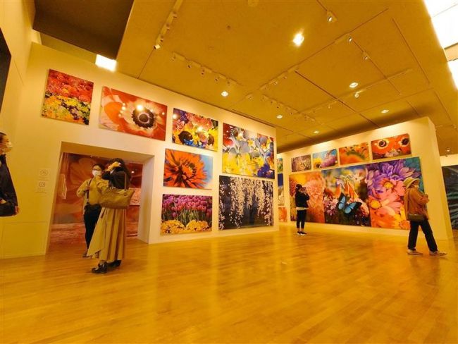 蜷川実花展、開幕から１週間　来場者数好ペース