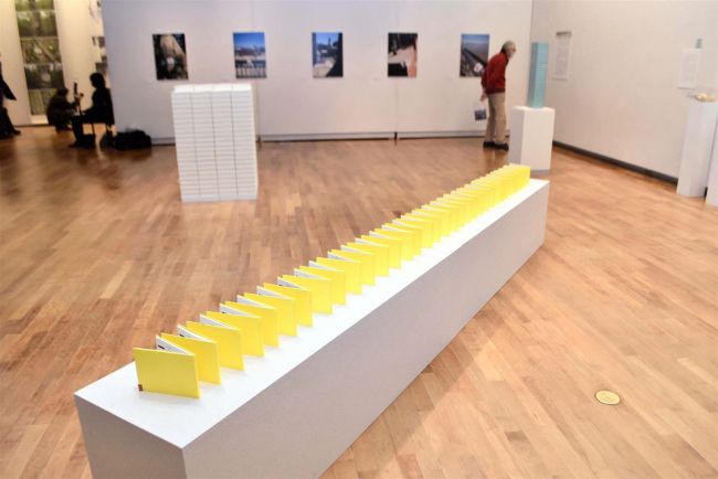 【写真】「池田緑展」開幕　帯広美術館で来年３月まで