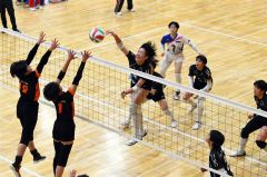 帯南商逆転勝ち８強入り　帯三条男子と帯緑陽女子初戦突破　道高校新人バレー