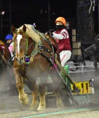 フェアリースズ重賞初Ｖで最強牝馬、ばんえいヒロインズカップ