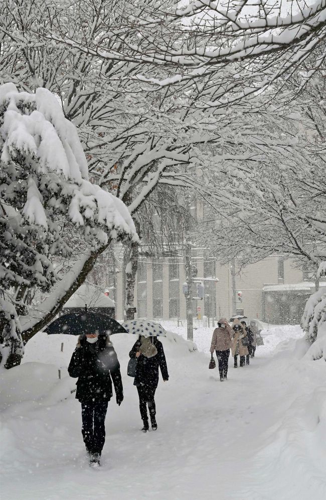 【写真】上士幌34センチ、帯広32センチ 大雪警報発令