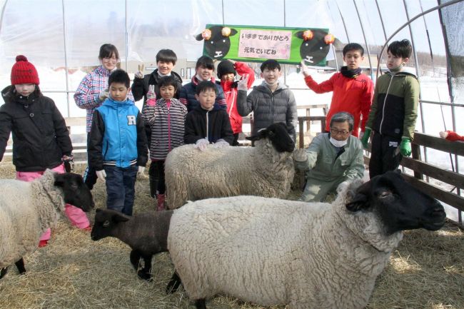 鹿追　上幌内小のヒツジ飼育終了