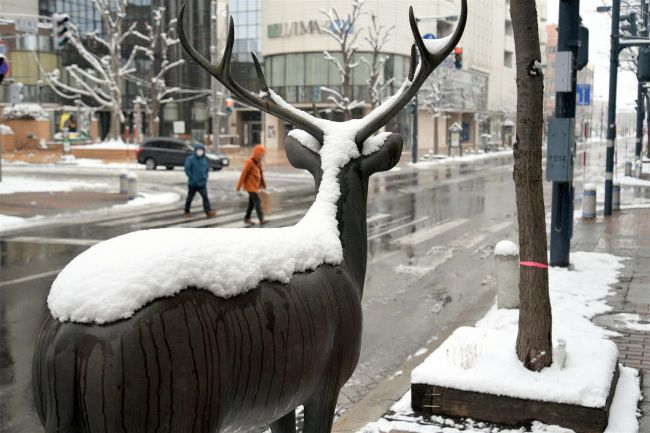 ２１日未明からの雪　大樹１７センチ、帯広９センチ