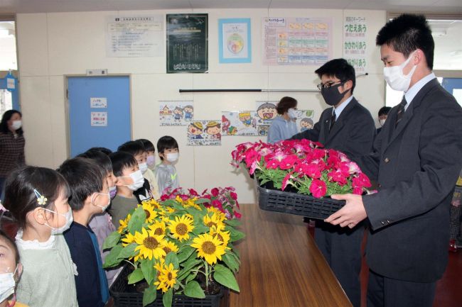 清水高校生が幼稚園などに花贈る　清水