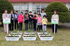 花の苗を植えた児童ら